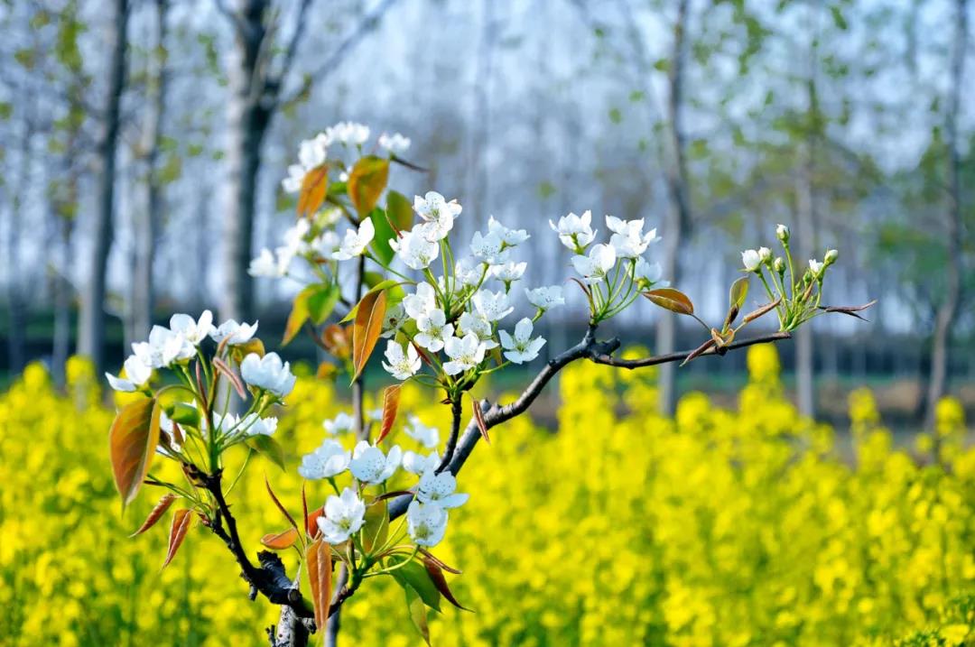 腾博会官网精机