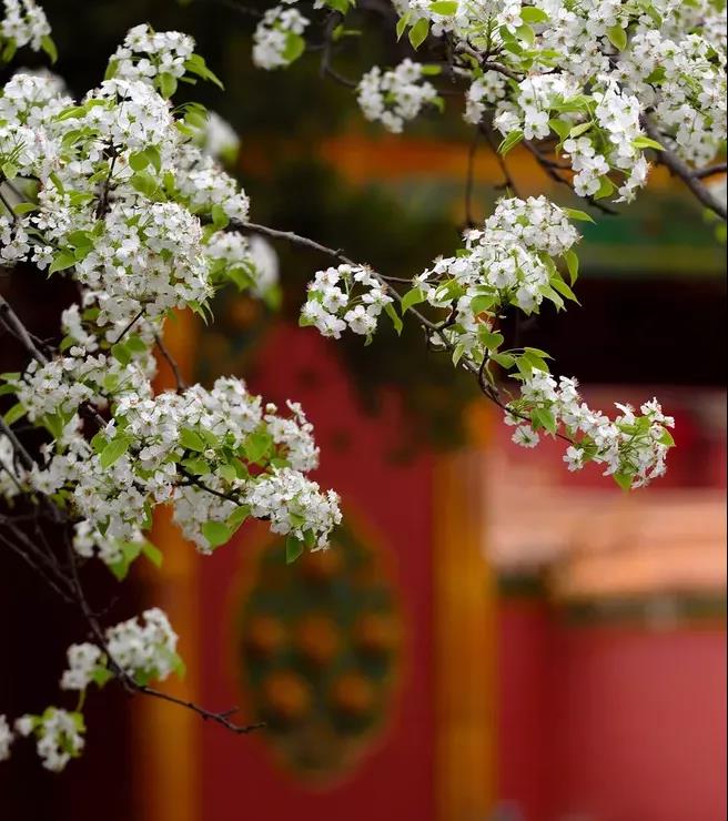 腾博会官网 - 诚信为本,专业服务!