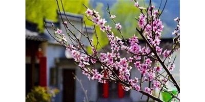 阳春三月，腾博会官网精机一大波展会即将来袭，您筹备好了吗？